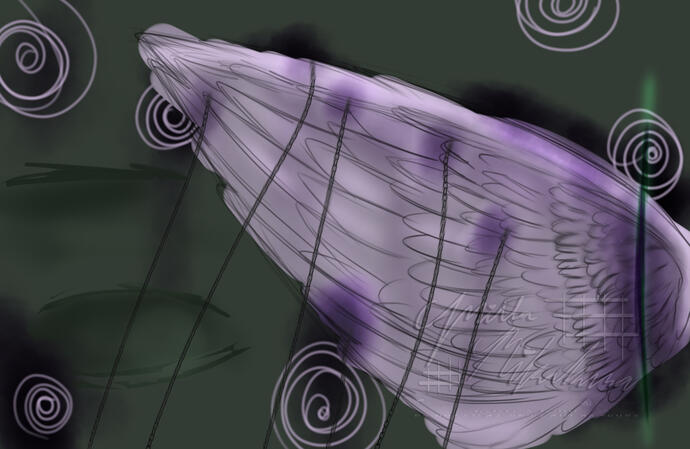 Fly